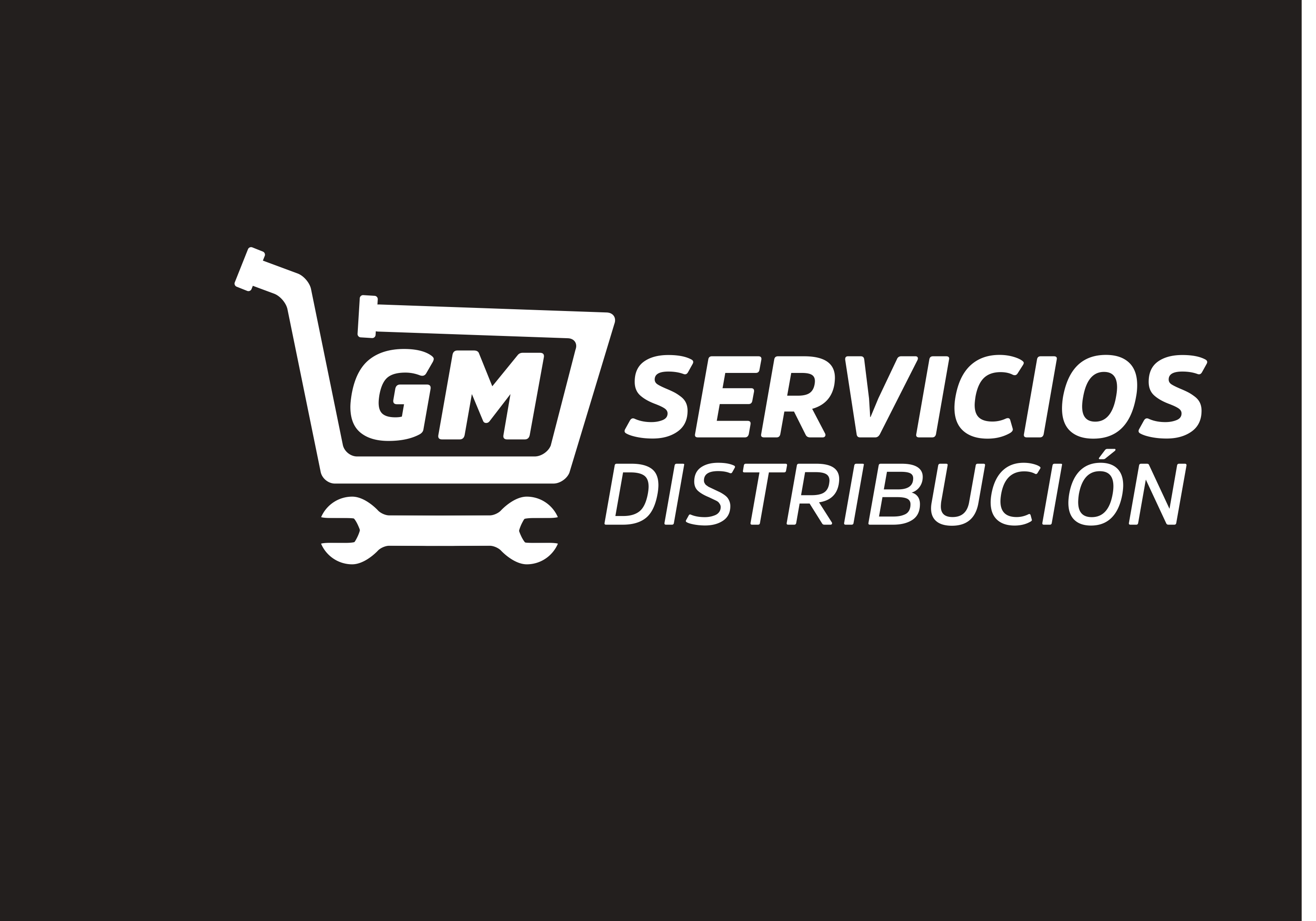 SERVICIOS DISTRIBUCION GM S.A.S